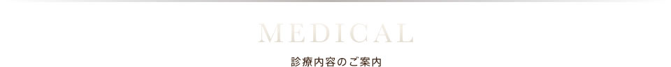 診療内容のご案内