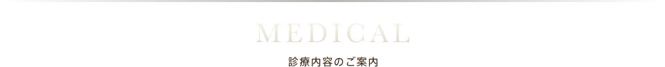 診療内容のご案内